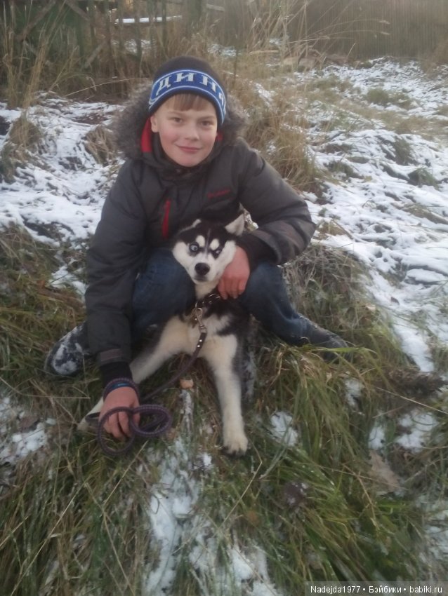 Фейт, Брин, Эвелин и их питомцы