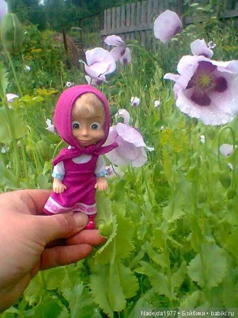 Наши Маша и Даша... Машино перевоплощение в Красную шапочку