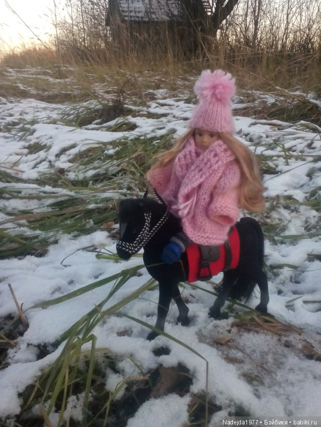 Фейт, Брин, Эвелин и их питомцы