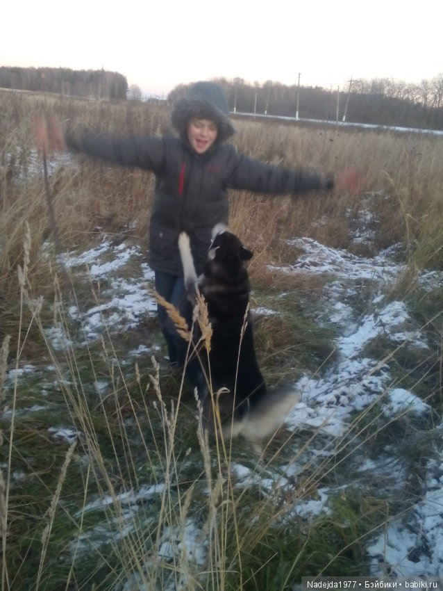 Фейт, Брин, Эвелин и их питомцы