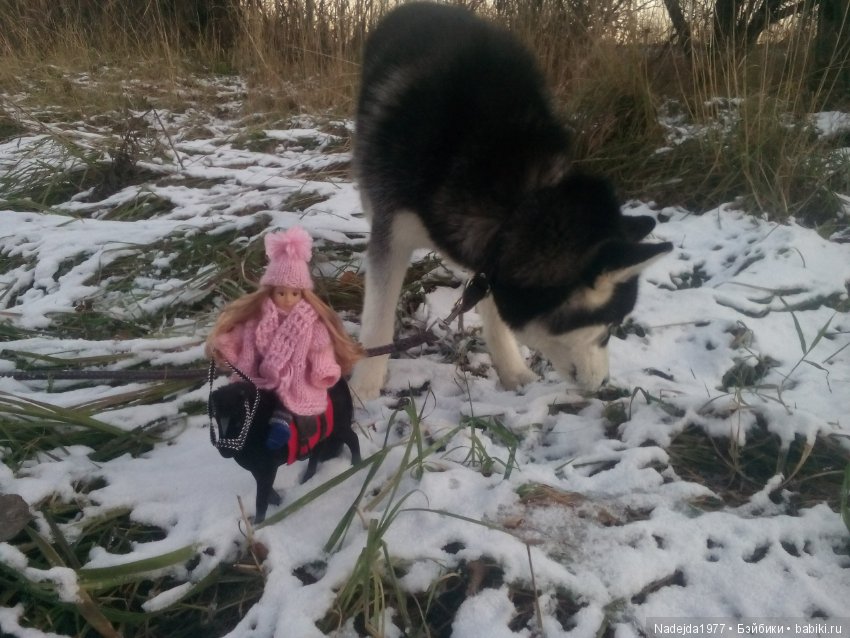 Фейт, Брин, Эвелин и их питомцы