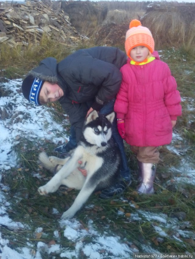 Фейт, Брин, Эвелин и их питомцы