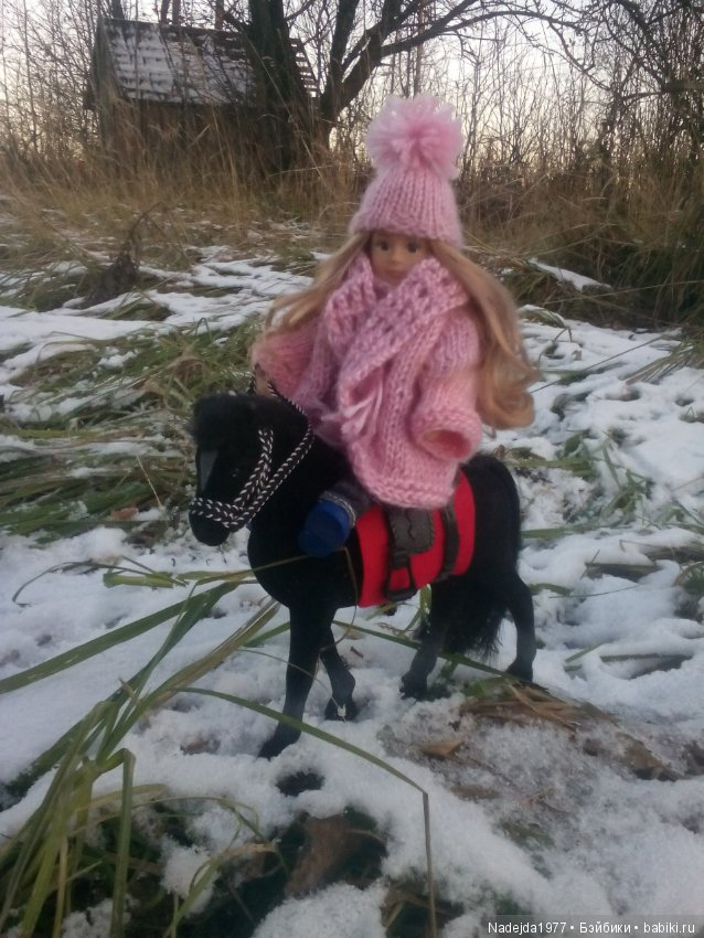 Фейт, Брин, Эвелин и их питомцы