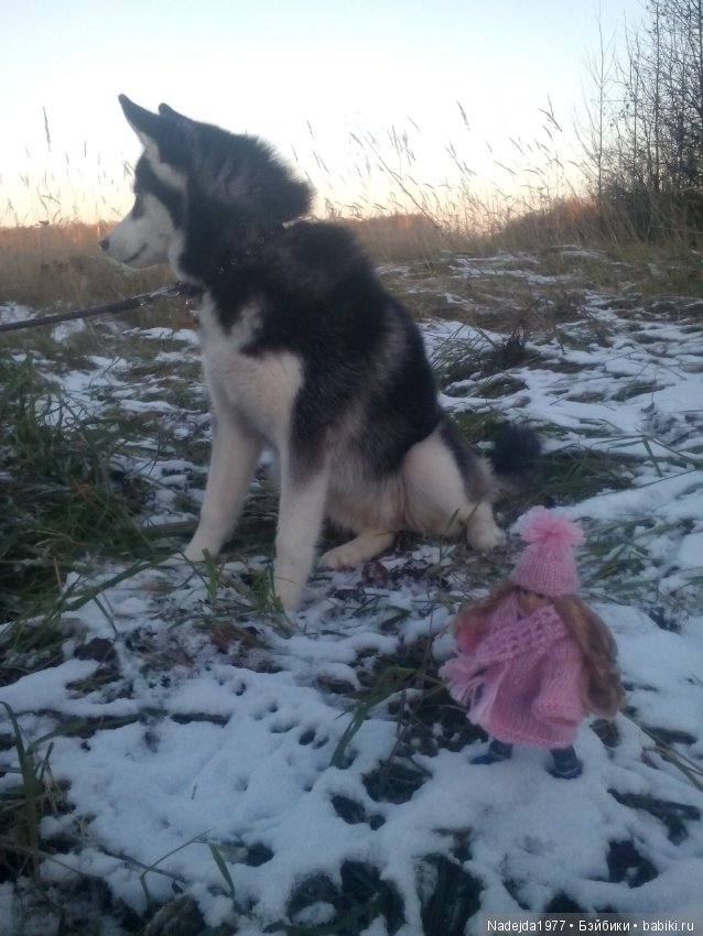 Фейт, Брин, Эвелин и их питомцы