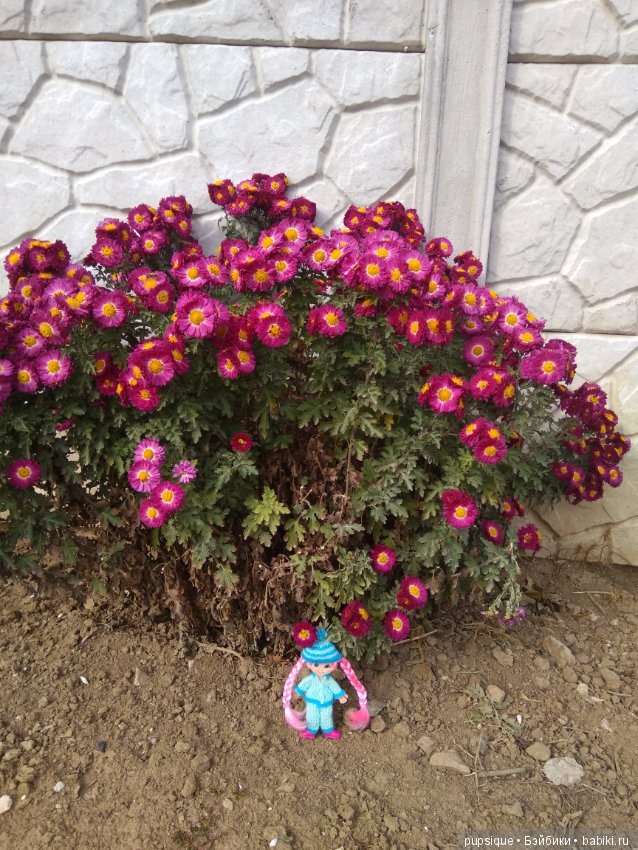 Хотела куклу с розовыми волосами? Получи! Кукла Флетси, Flatsy doll