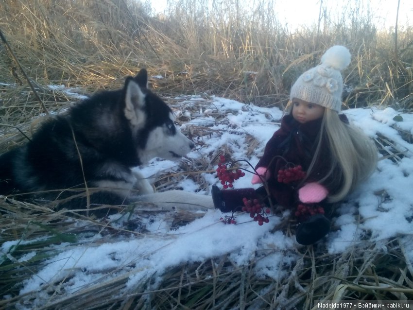 Марейка прогулялась по первому снегу