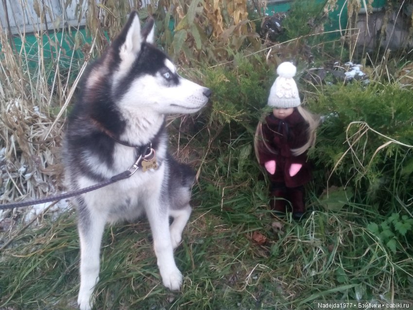 Марейка прогулялась по первому снегу