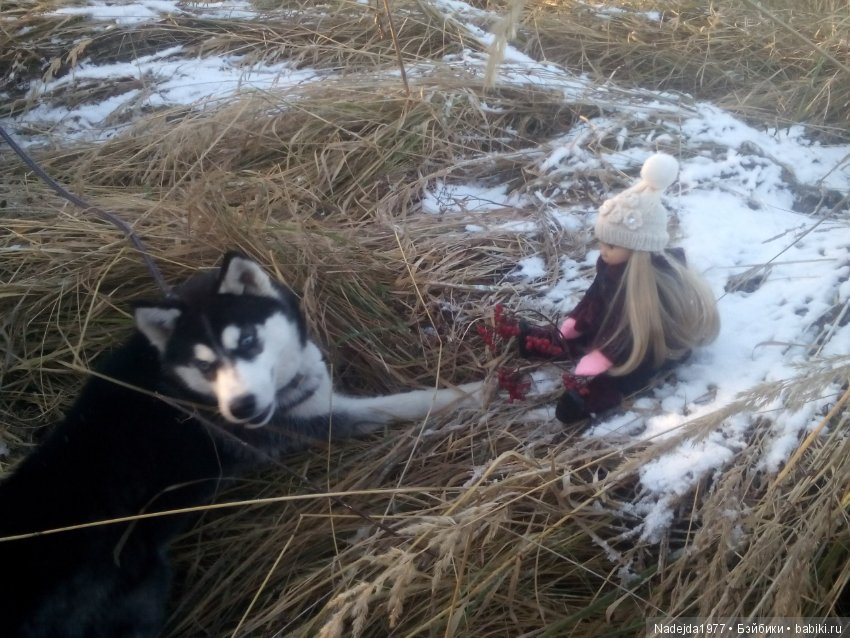 Марейка прогулялась по первому снегу