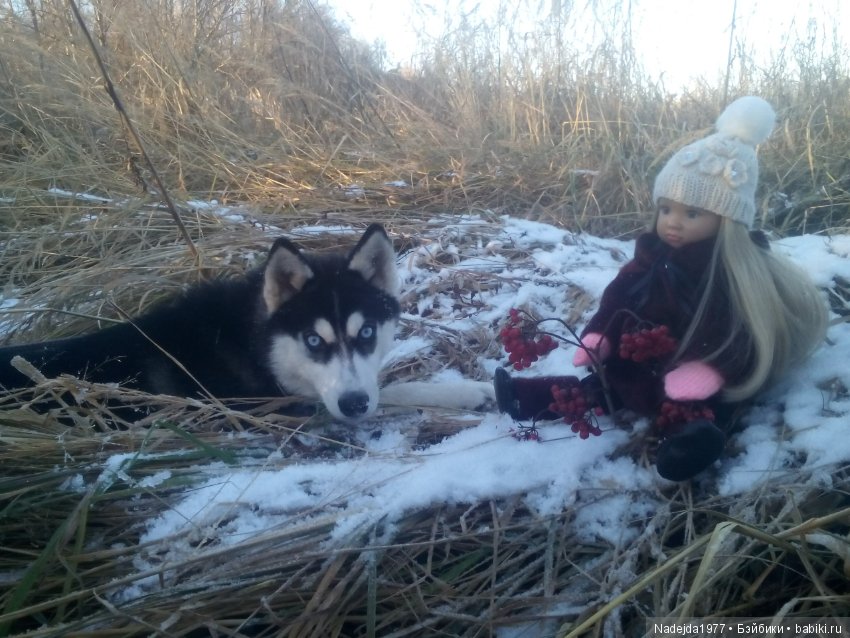 Марейка прогулялась по первому снегу
