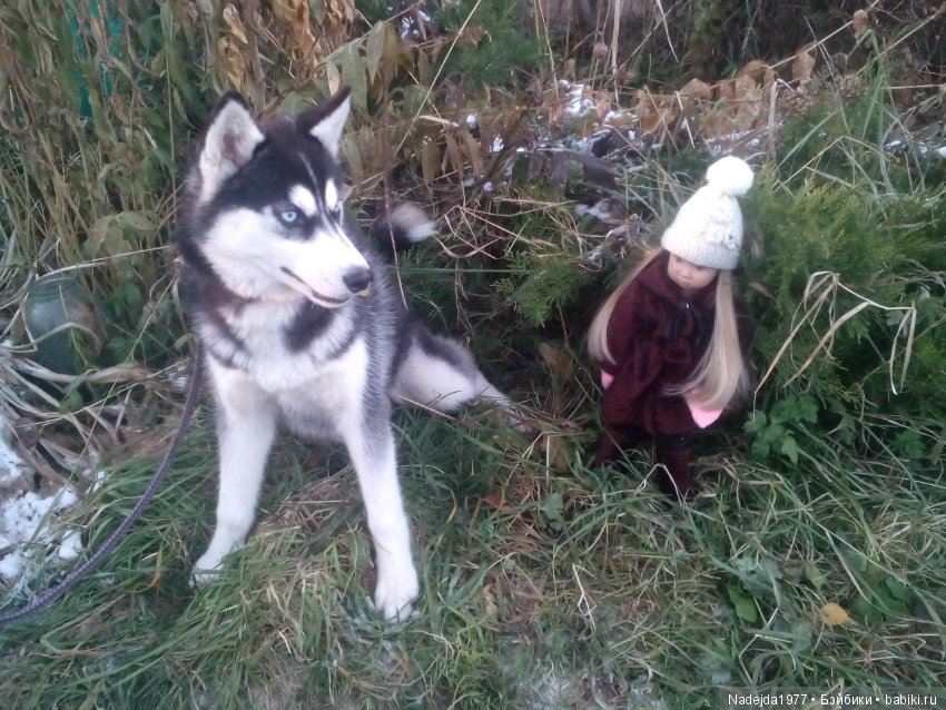 Марейка прогулялась по первому снегу