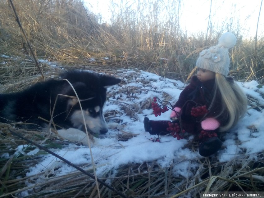 Марейка прогулялась по первому снегу