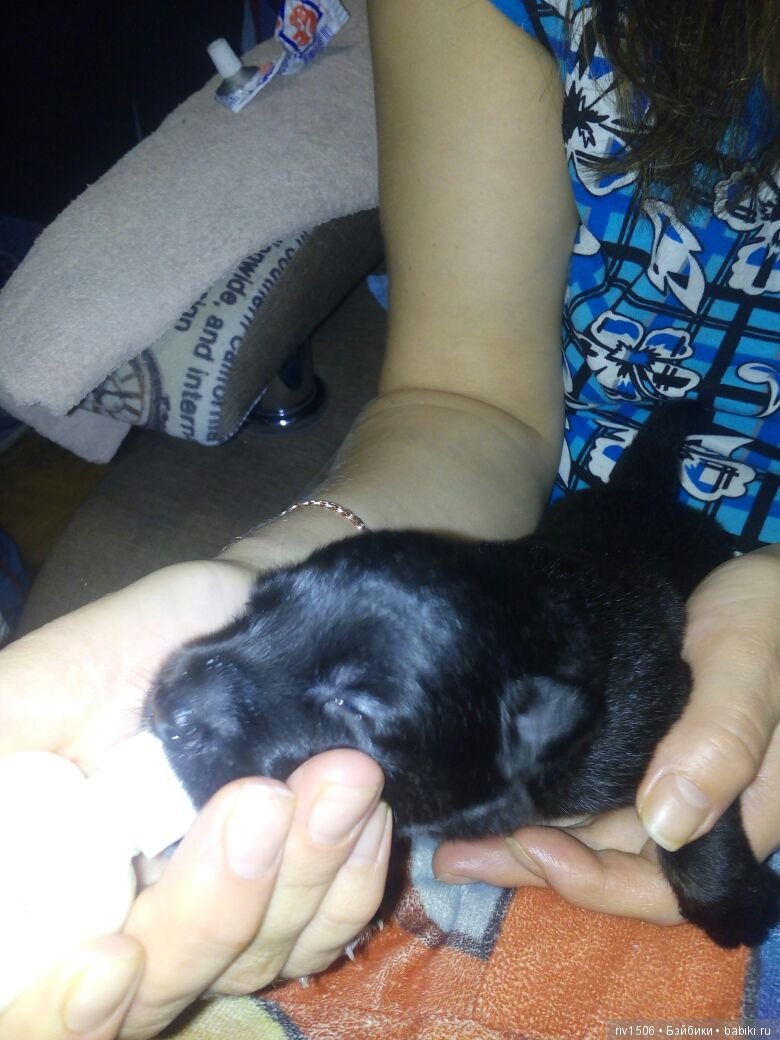 Новосибирск, кому нужен друг (фото 2)