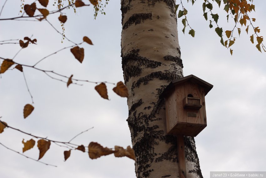 Осень в волосах — Коллекционные куклы разных авторов (Разное): редкие бренды