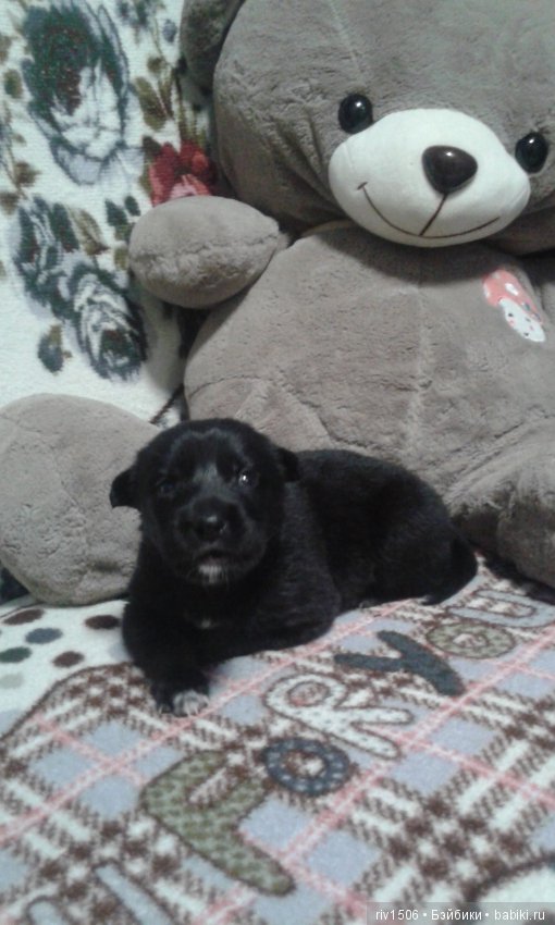 Новосибирск, кому нужен друг (фото 5)