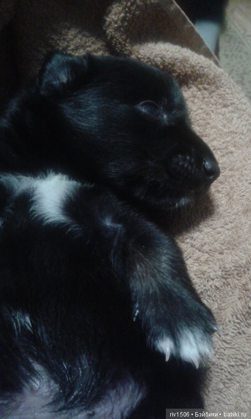 Новосибирск, кому нужен друг (фото 9)