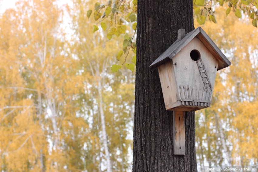 Осень в волосах — Коллекционные куклы разных авторов (Разное): редкие бренды (фото 2)