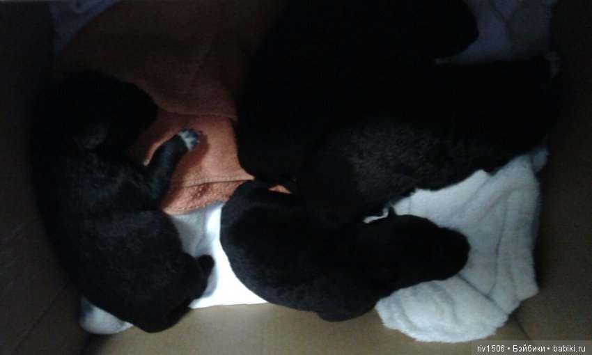 Новосибирск, кому нужен друг