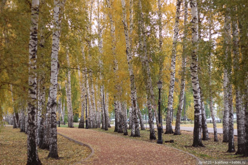 Осень в волосах — Коллекционные куклы разных авторов (Разное): редкие бренды