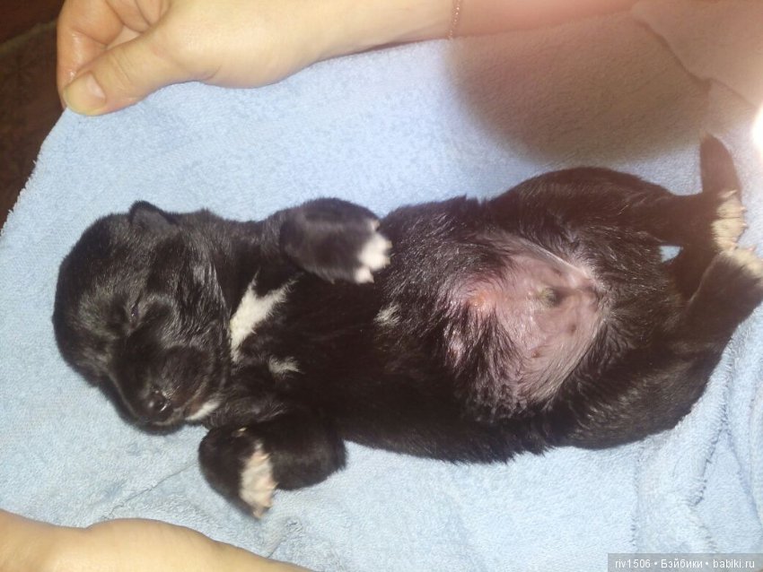 Новосибирск, кому нужен друг (фото 3)