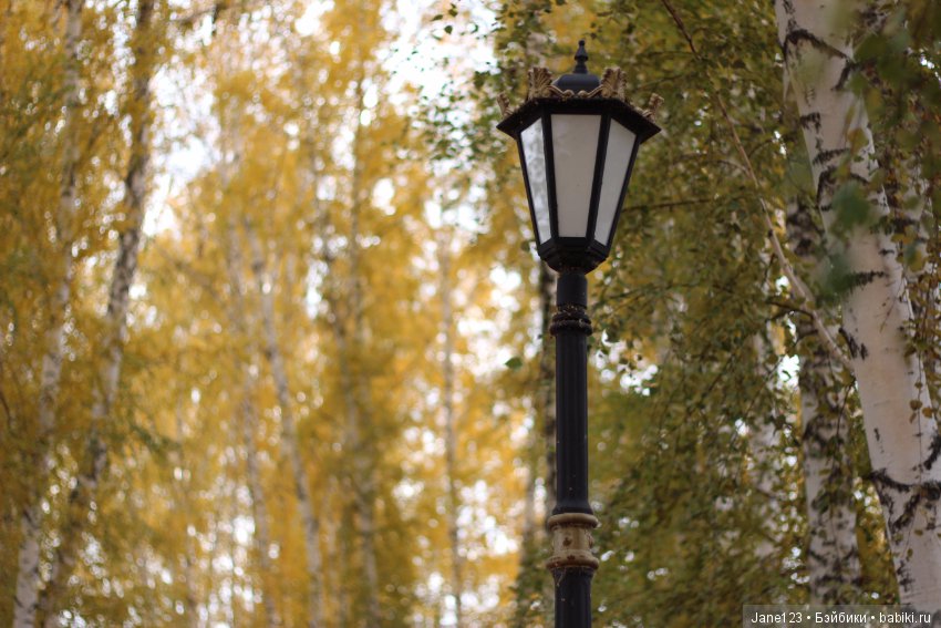 Осень в волосах — Коллекционные куклы разных авторов (Разное): редкие бренды (фото 8)