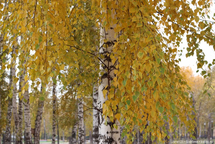 Осень в волосах — Коллекционные куклы разных авторов (Разное): редкие бренды (фото 4)