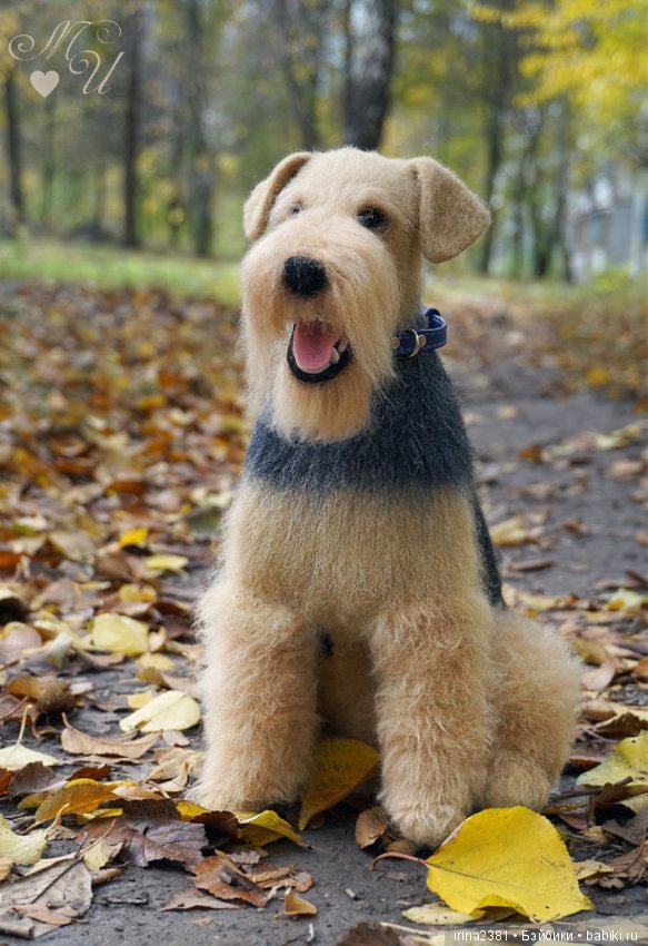 Эрдельтерьер — Валяные игрушки из шерсти: сухое валяние (фото 4)