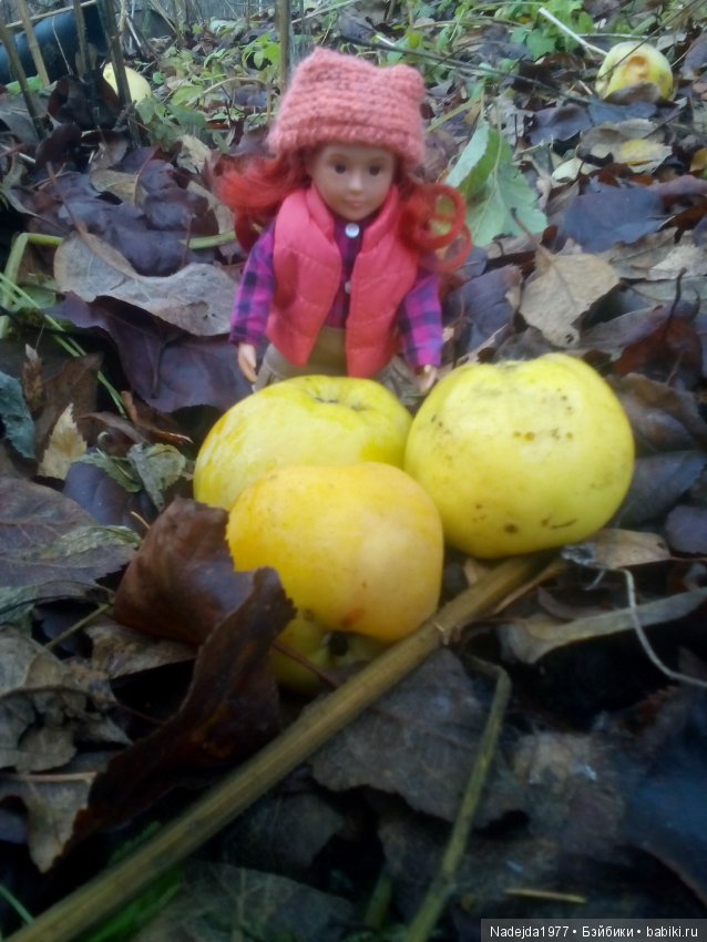 Осень ещё не ушла...Или новый наряд для Брин