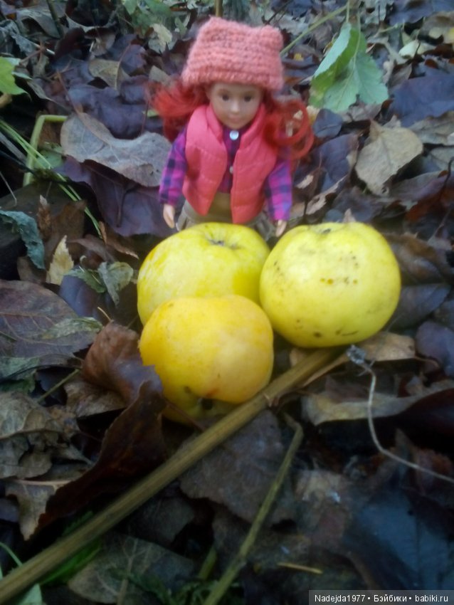 Осень ещё не ушла...Или новый наряд для Брин