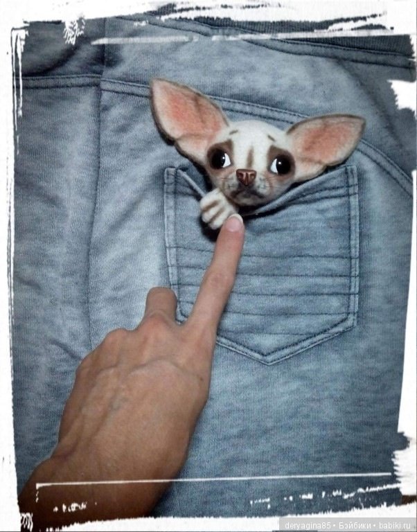 Чихо брошь — Валяные игрушки из шерсти: сухое валяние (фото 9)