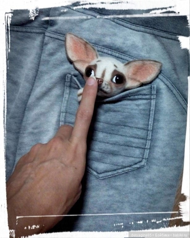 Чихо брошь — Валяные игрушки из шерсти: сухое валяние (фото 8)