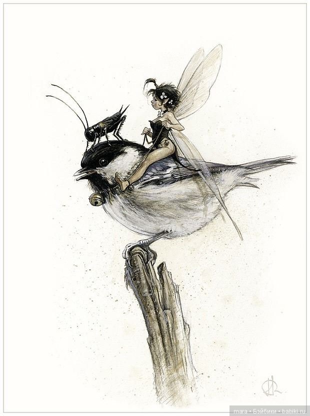 Patrick Masson по иллюстрации Pascal Moguerou