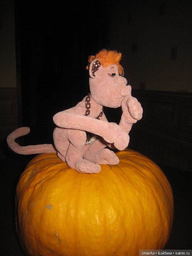 Про расстроенную Дусю — Текстильные игрушки и примитивы: кофейные (фото 6)