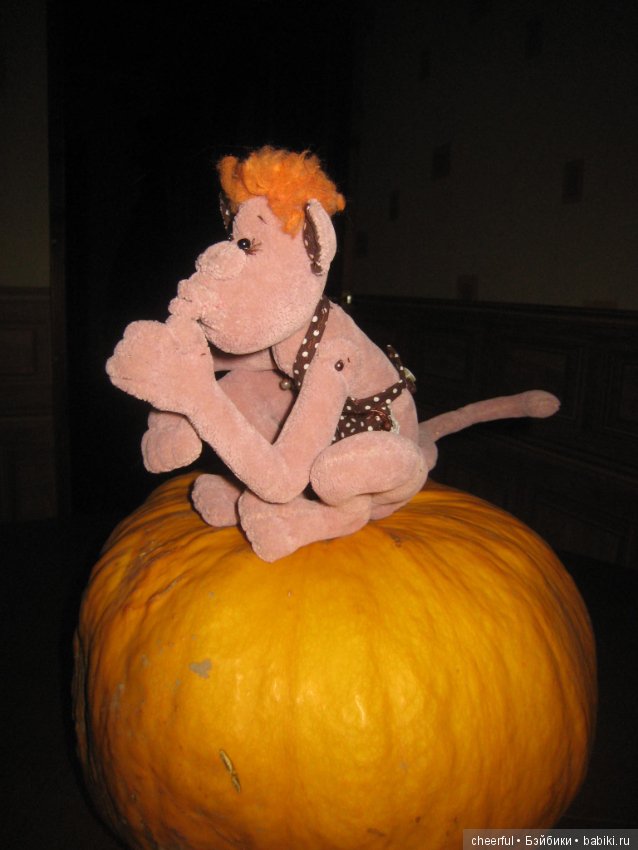 Про расстроенную Дусю — Текстильные игрушки и примитивы: кофейные (фото 7)