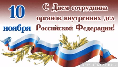 День сотрудника органов внутренних дел Российской Федерации (фото 5)