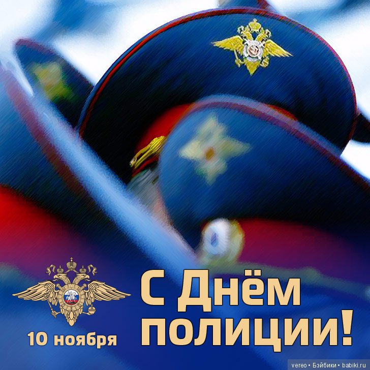 День сотрудника органов внутренних дел Российской Федерации (фото 3)