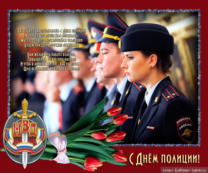 День сотрудника органов внутренних дел Российской Федерации (фото 6)