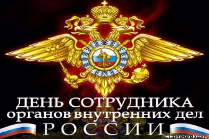 День сотрудника органов внутренних дел Российской Федерации (фото 2)
