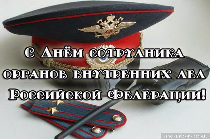 День сотрудника органов внутренних дел Российской Федерации (фото 4)