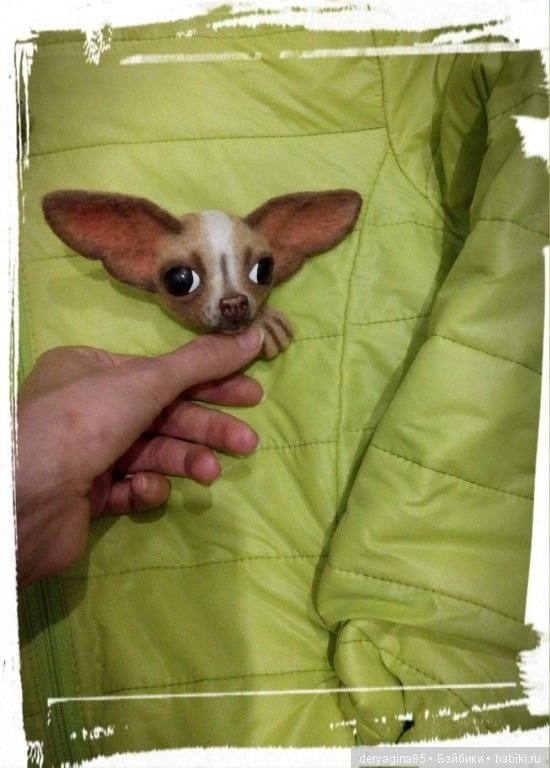 "Чихоброшь" пятнистая — Валяные игрушки из шерсти: сухое валяние (фото 6)