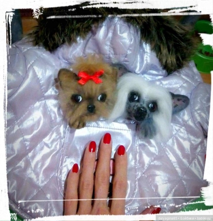 Йорко брошь — Валяные игрушки из шерсти: сухое валяние (фото 6)