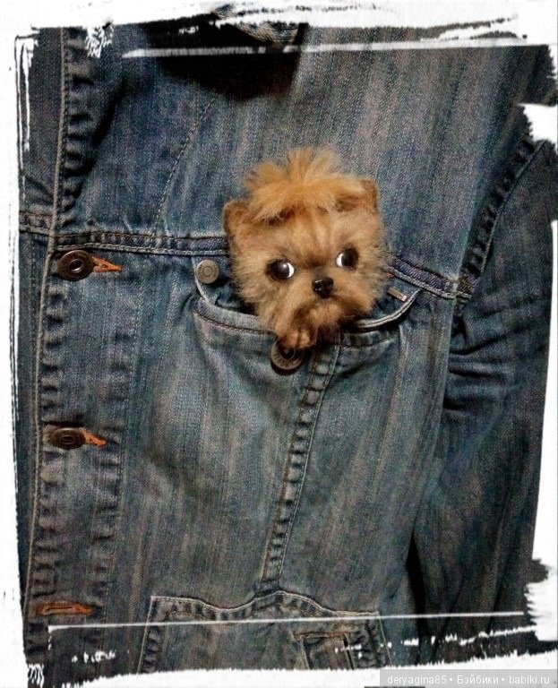 Йорко брошь — Валяные игрушки из шерсти: сухое валяние (фото 2)