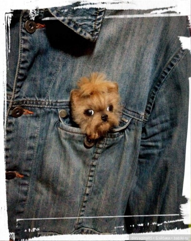 Йорко брошь — Валяные игрушки из шерсти: сухое валяние