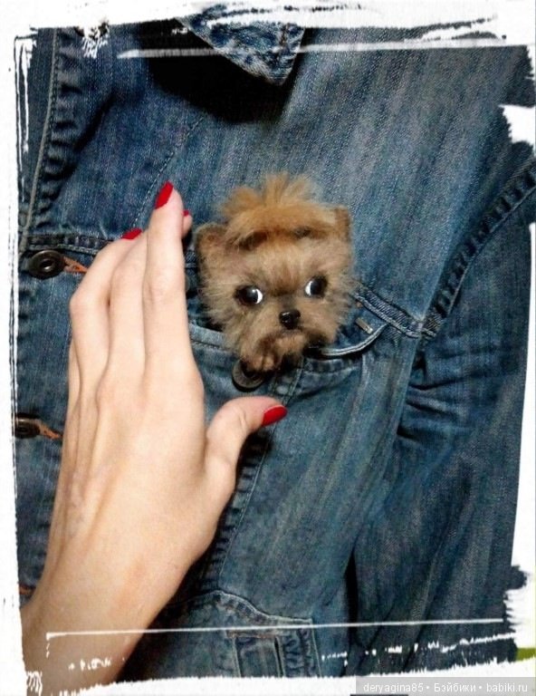 Йорко брошь — Валяные игрушки из шерсти: сухое валяние (фото 4)