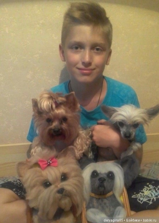 Йорко брошь — Валяные игрушки из шерсти: сухое валяние (фото 9)