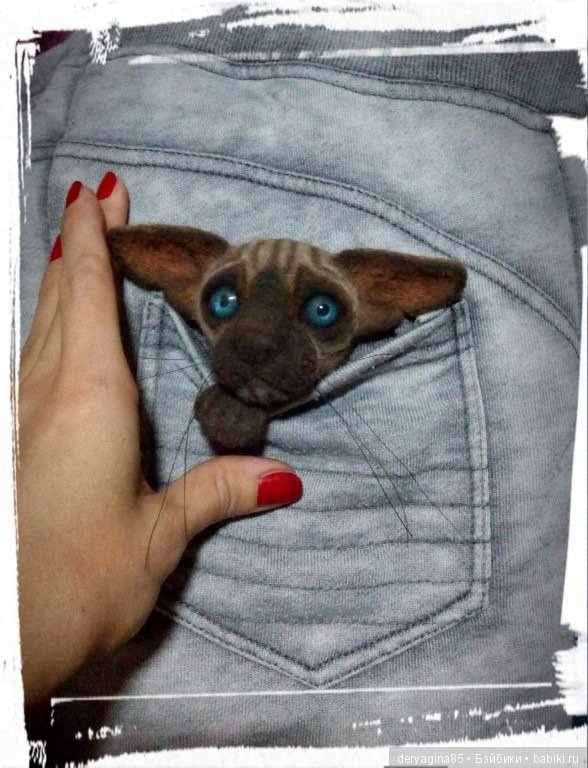 Котоброшь без породы, не то сфинкс,не то сиам (фото 4)