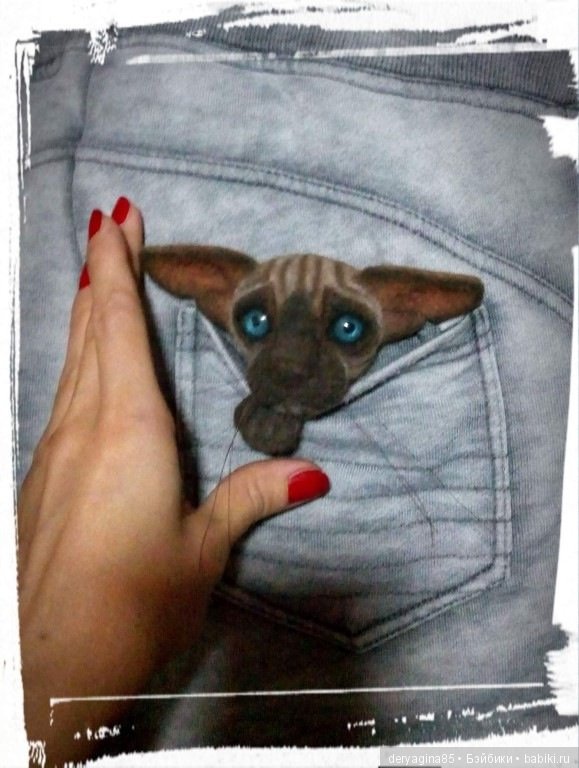 Котоброшь без породы, не то сфинкс,не то сиам (фото 3)