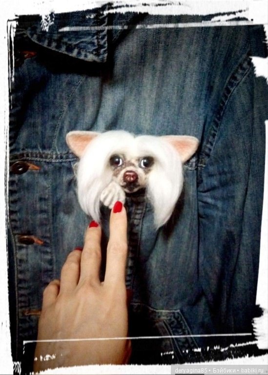 Брошь Китайская хохлатая — Валяные игрушки из шерсти: сухое валяние (фото 5)