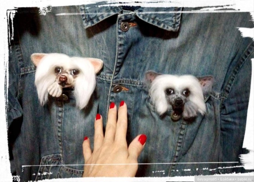 Брошь Китайская хохлатая — Валяные игрушки из шерсти: сухое валяние (фото 3)