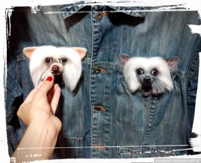 Брошь Китайская хохлатая — Валяные игрушки из шерсти: сухое валяние