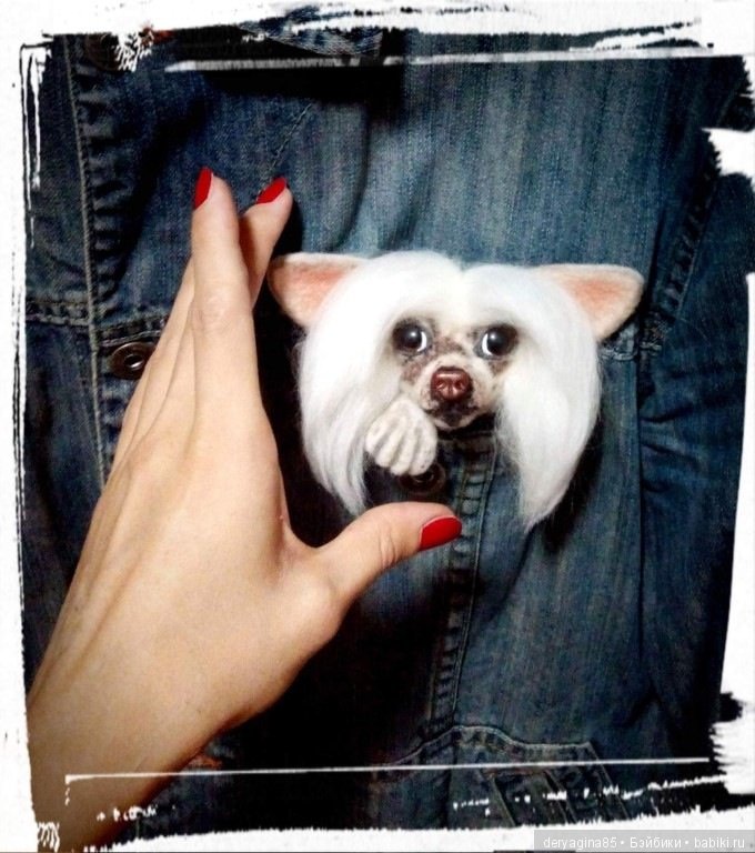 Брошь Китайская хохлатая — Валяные игрушки из шерсти: сухое валяние (фото 4)